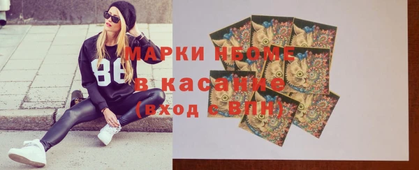 прущие грибы Осинники