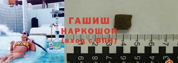 прущие грибы Осинники