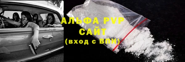 прущие грибы Осинники