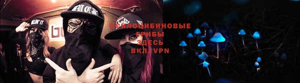 каннабис Осташков