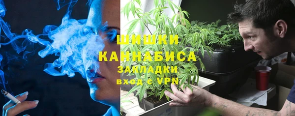 прущие грибы Осинники