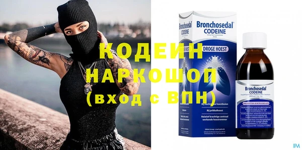 прущие грибы Осинники