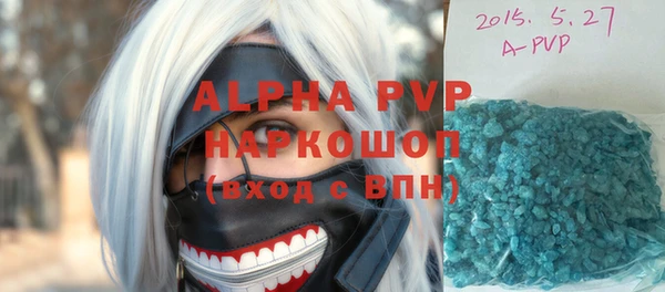 прущие грибы Осинники